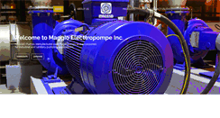 Desktop Screenshot of maggiopump.com